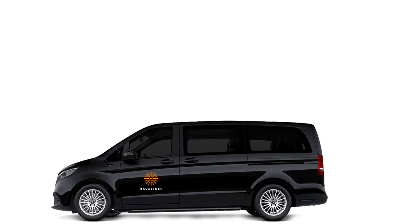 vito-m